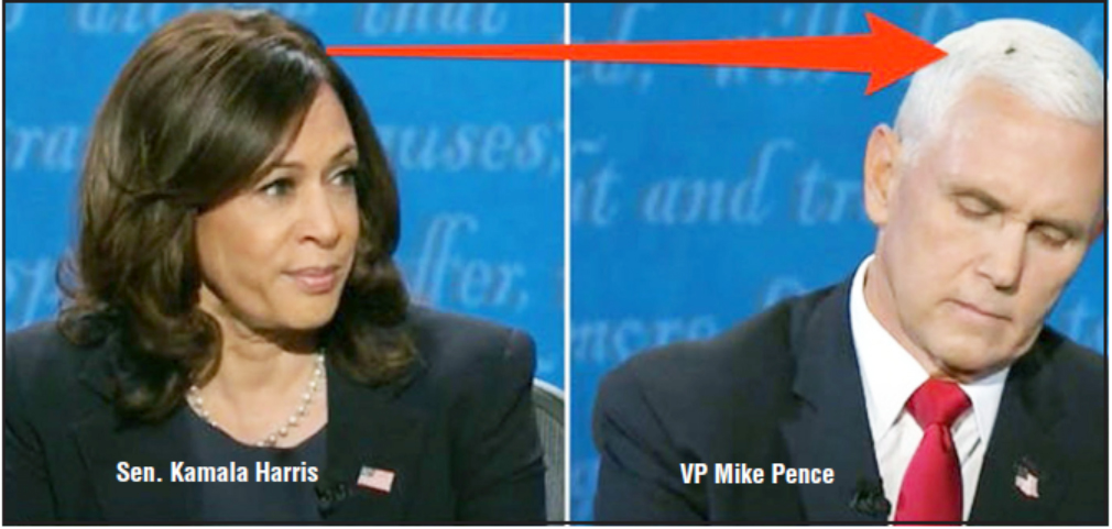 Harris and Pence Spar Over Economy and Race in VP Debate